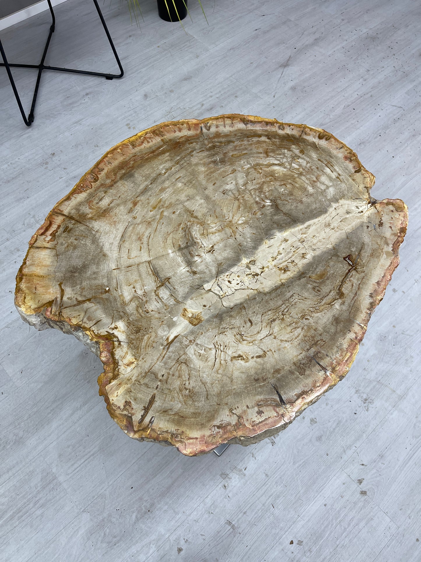 Couchtisch Beistelltisch versteinertes Holz auf Eichensockel