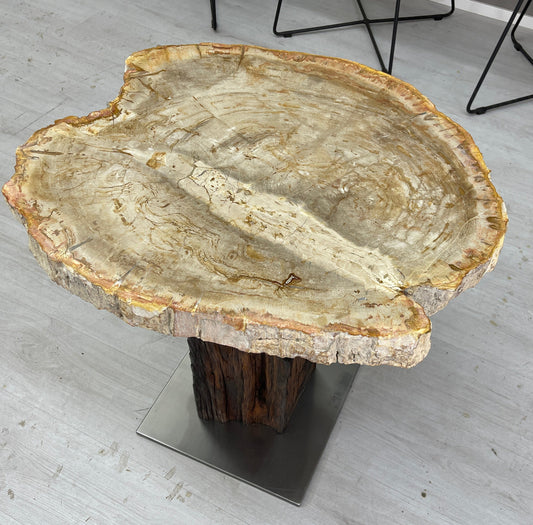 Couchtisch Beistelltisch versteinertes Holz auf Eichensockel
