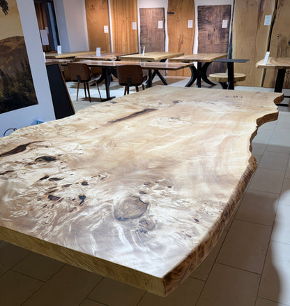 Maserpappel Tischplatte mit Baumkante 306x145x5cm