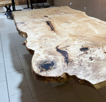 Maserpappel Tischplatte mit Baumkante 306x145x5cm